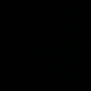 Meet your Posher, Jaxon